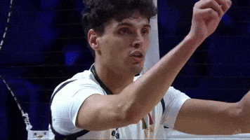 Volleyball No GIF