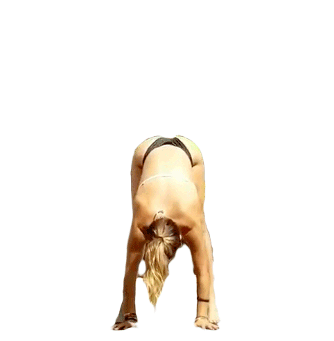 Yoga Handstand Sticker by RYDR