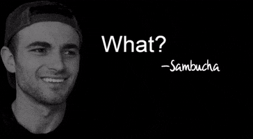 Joe Biden What GIF
