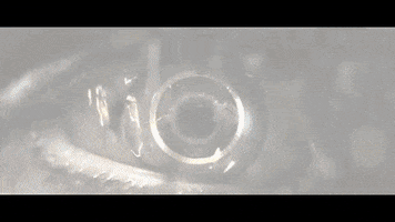 oaiaroz  GIF