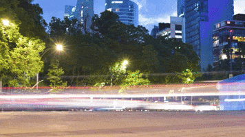 Photography GIF