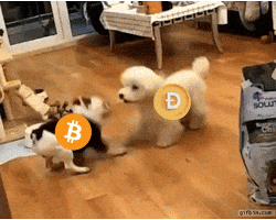 Pump It Crypto GIF by Web3 Newswire