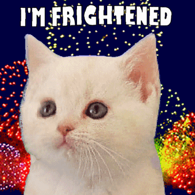 Digital art gif. White kitten's head turns side to side while animated fireworks explode in the background. Text, "I'm frightened."