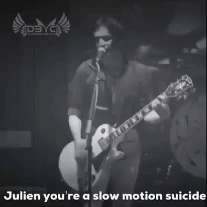 Placebo Julien GIF