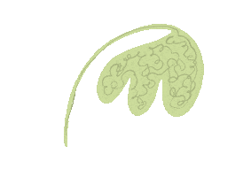 Plant Leaf Sticker