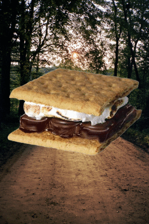 Photo gif. A giant, superimposed s'mores sandwich shakes over a photo in the woods at sunset. 