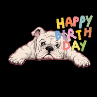 Happy Birthday Festa GIF by bulldogclub