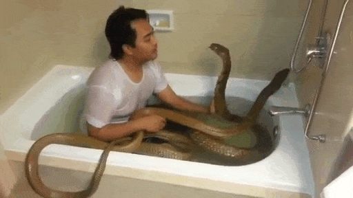 giphy-downsized-large.gif