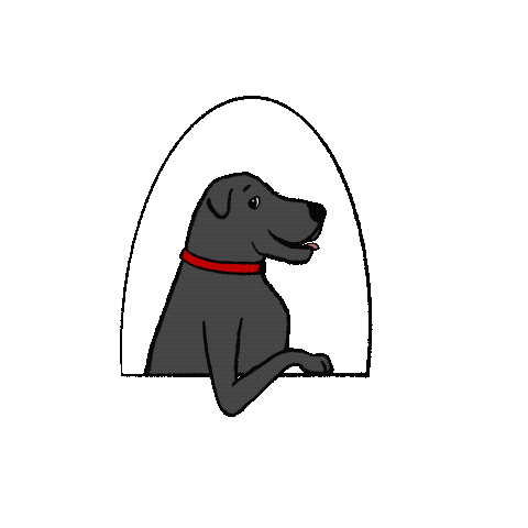 60 Instagram Story GIF Stickers Dog Words in Black (Download Now)