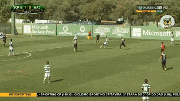 sportal  GIF