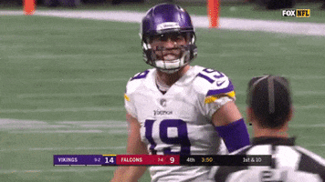 Lets Go Football GIF by Minnesota Vikings
