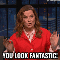 You Look Fantastic Amy Poehler GIF by Late Night with Seth Meyers