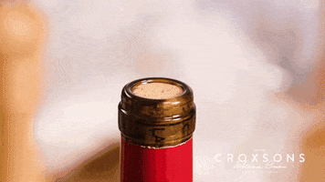 Red Wine GIF by Croxsons