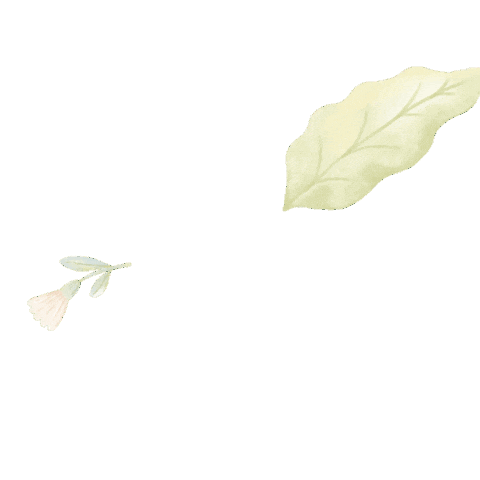 Tencel New Items Sticker by Best Baby Essentials