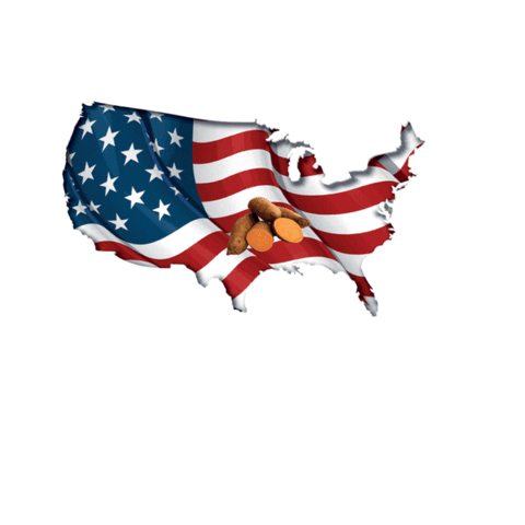 States Logo GIF by American Sweet Potato