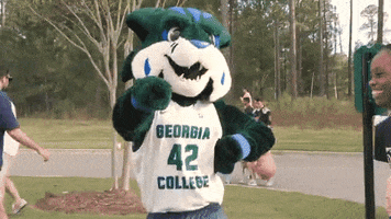 Thunder Bobcat GIF by Georgia College
