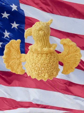 United States Usa GIF by TeaCosyFolk
