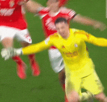 Champions League Benfica GIF