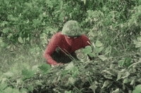 Best Japanese Spiderman Gifs Primo Gif Latest Animated Gifs