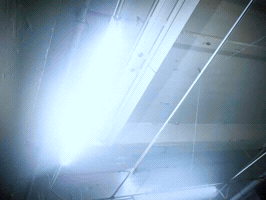 Hoodie Setters GIF by whiterosemoxie