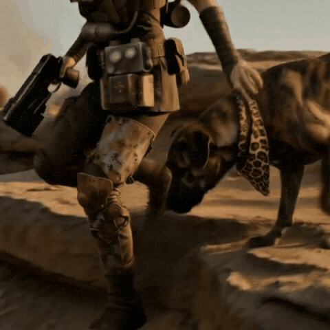 Dog Raiders GIF