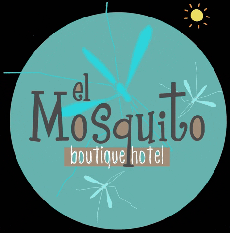 Playabonita GIF by El Mosquito