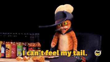 Watch This Puss In Boots GIF by First We Feast