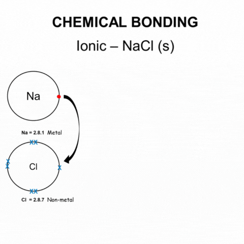 Chemicalsciences4U GIF