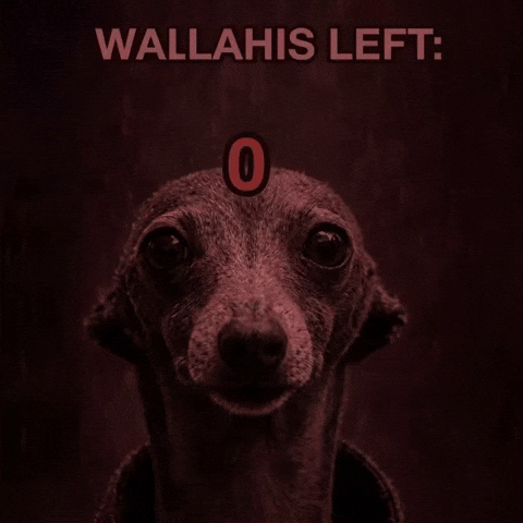 Dog Wallahi GIF