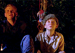 american horror story