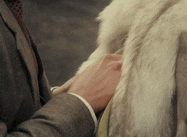 Jennifer Lawrence GIF