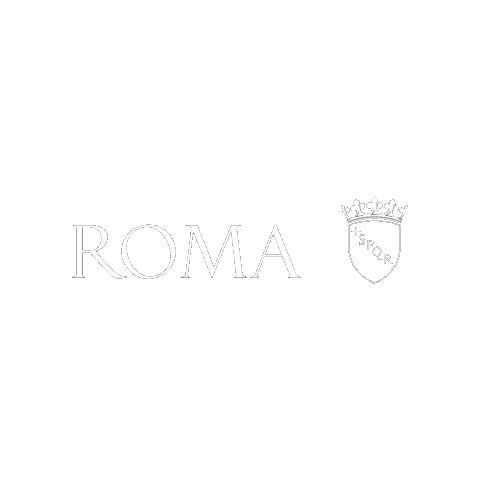 Italy Italia Sticker by Roma Capitale