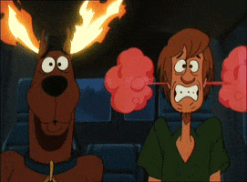 spicy scooby doo GIF