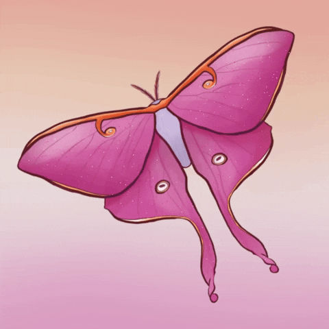 Luna Moth Pride GIF by Contextual.Matters