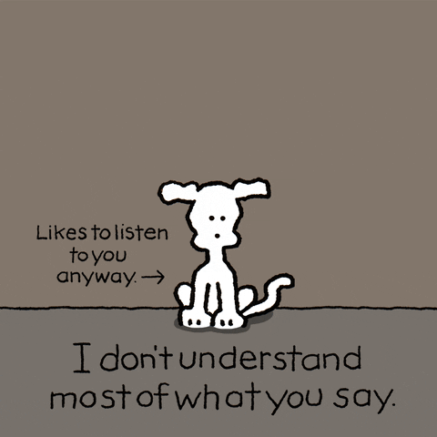 Dogs I Dont Understand GIF by Chippy the Dog