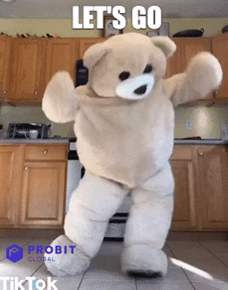 Bear-funny GIFs - Get the best GIF on GIPHY