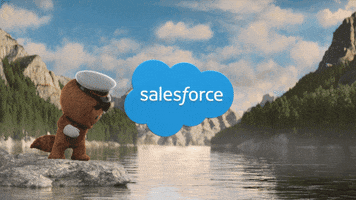 Rubber Duck Water GIF by Salesforce