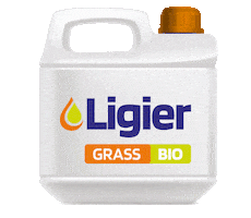 Ligier Sticker