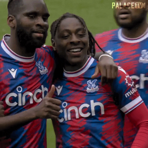 Premier League Thumbs Up GIF by Crystal Palace Football Club