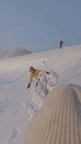 Snow GIF
