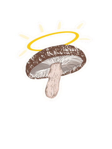 Mushroom Holy Shit Sticker