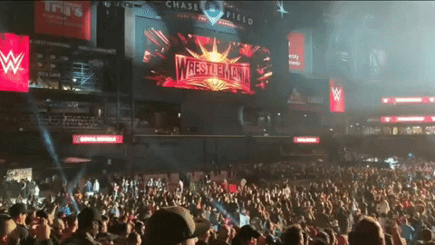 royal rumble point GIF by Leroy Patterson