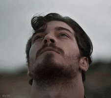 Cagatay Ulusoy GIF