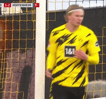 Borussia Dortmund Fight GIF by ElevenSportsBE