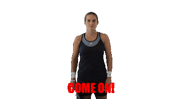 Sticker by HEAD Padel