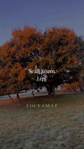 Folyamat GIF