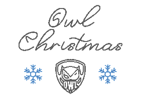 Owlchristmas Sticker by Owl Box