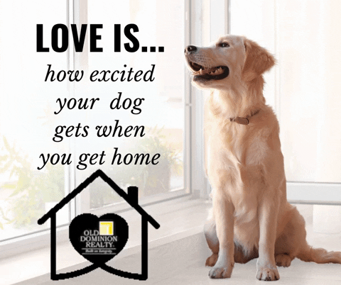 Thursday Are The Best Days GIFs - Get the best GIF on GIPHY