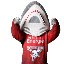Hockey Nhl Sticker by Koelner Haie