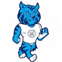 Excellence Community Schools Sticker